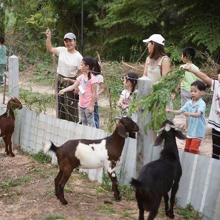 Xaiyong Resort - ไทรโยงรีสอร์ท Buriram Exterior foto